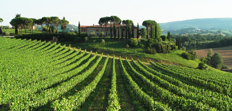 aprire un azienda agricola 2